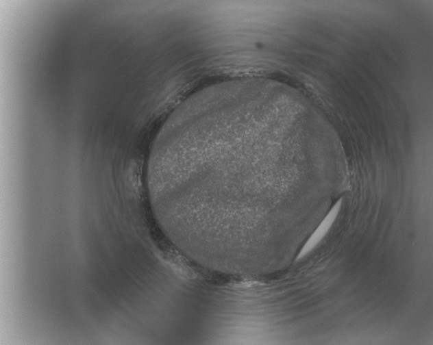 X0000063480695200602031926