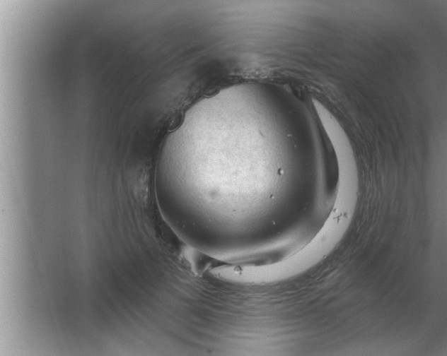 X0000063480697200602031926