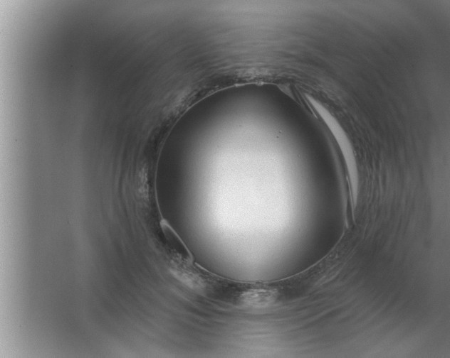 X0000063480700200602031926