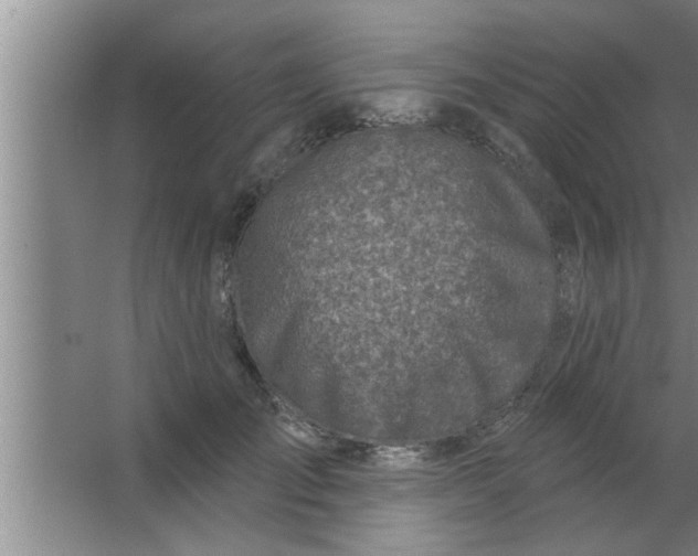 X0000063480701200602031926