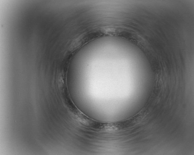 X0000063480702200602031926