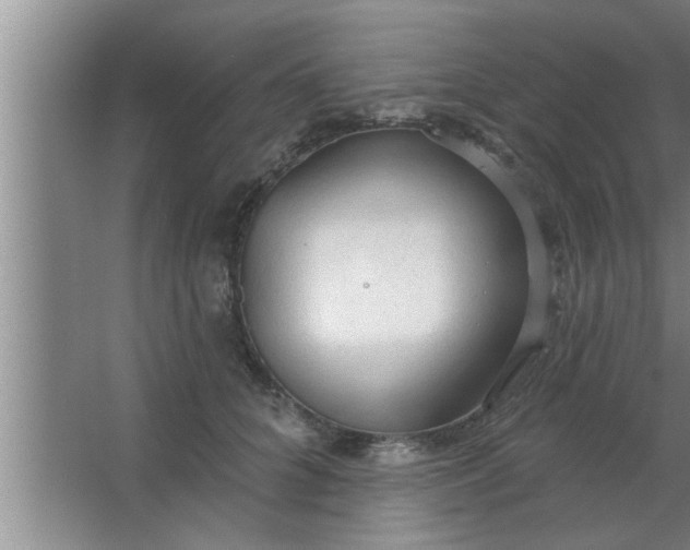 X0000063480704200602031926