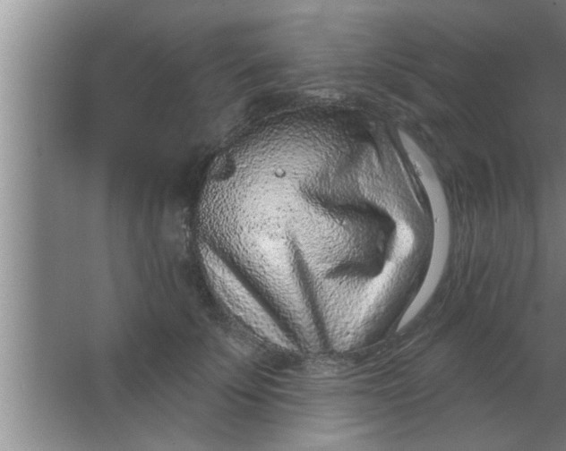 X0000063480707200602031926