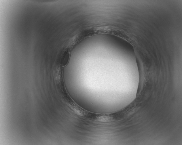 X0000063480708200602031926