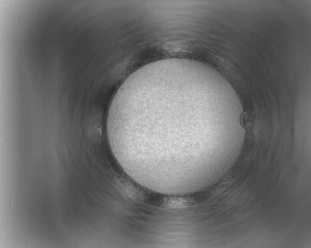 X0000063480710200602031926