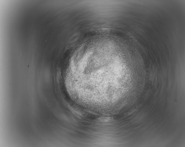 X0000063480711200602031926