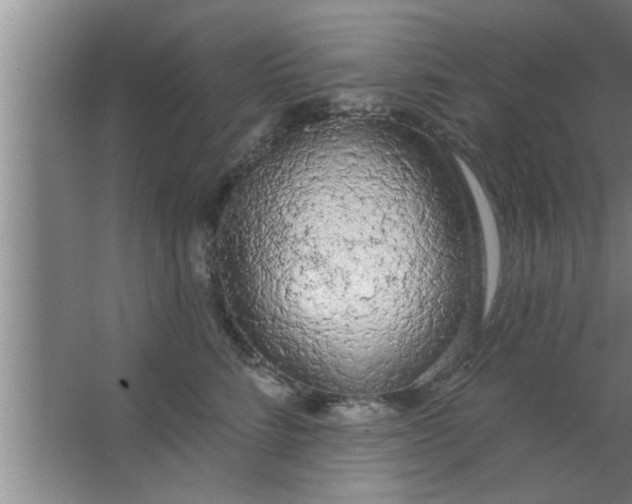 X0000063480712200602031926