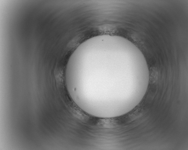 X0000063480713200602031926