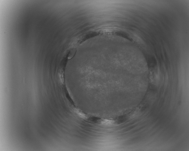 X0000063480718200602031925