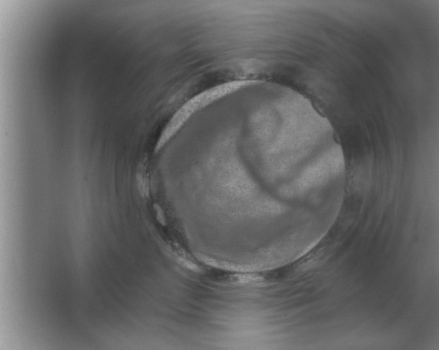 X0000063480719200602031925