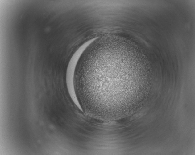 X0000063480720200602031925