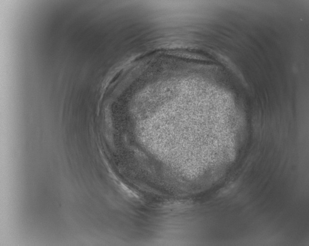 X0000063480721200602031925