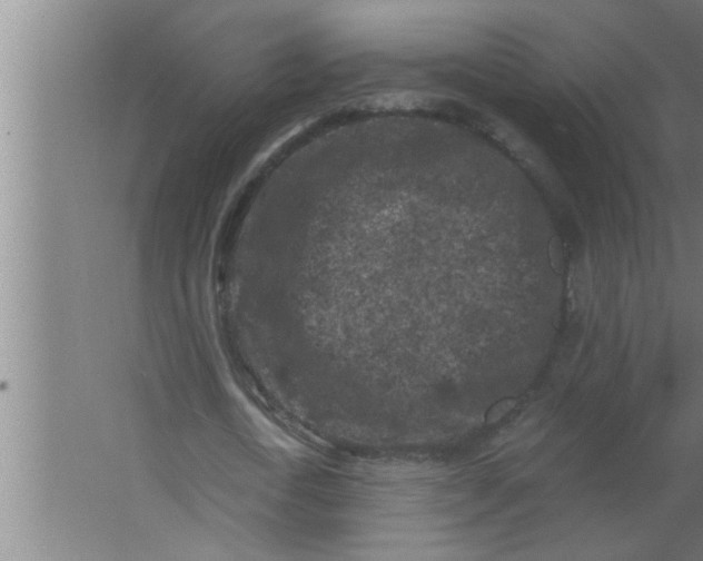 X0000063480722200602031925