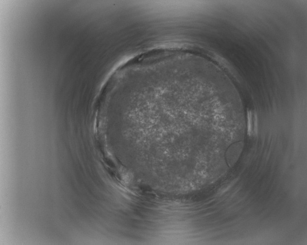 X0000063480723200602031925