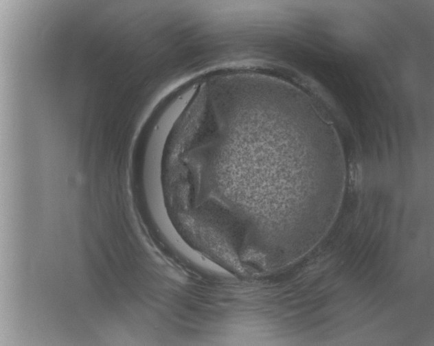 X0000063480724200602031925