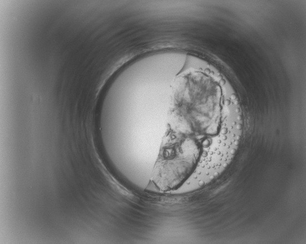 X0000063480725200602031925