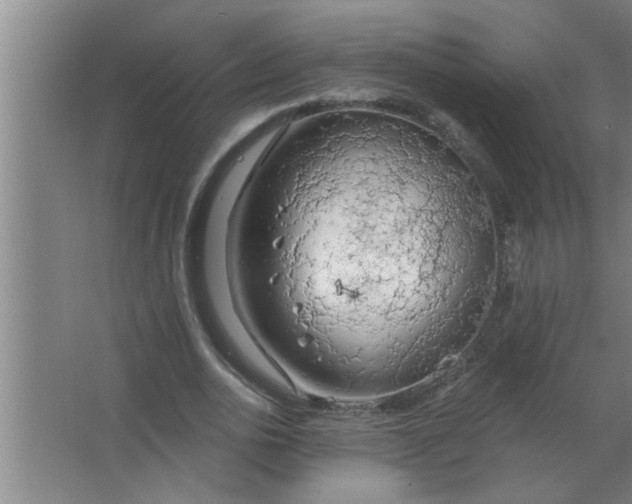 X0000063480726200602031925