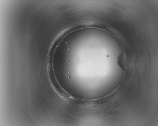 X0000063480728200602031925