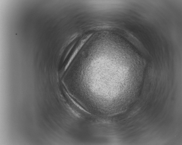 X0000063480729200602031925