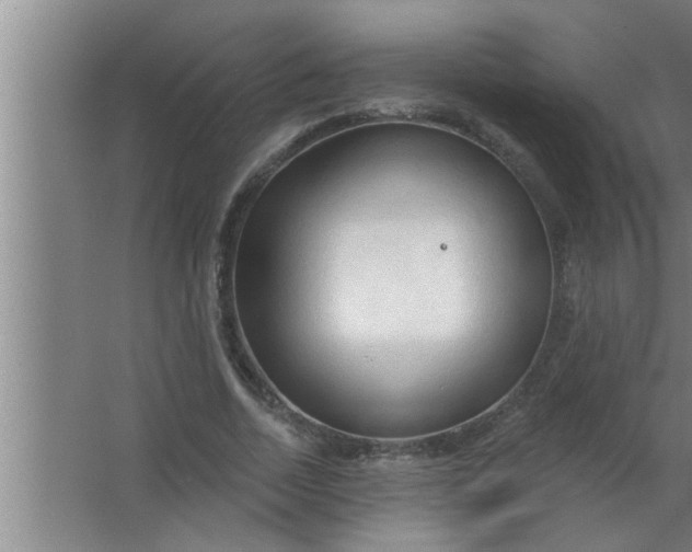 X0000063480730200602031925