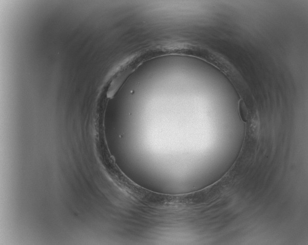 X0000063480732200602031925