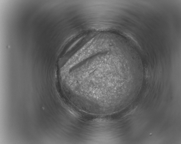 X0000063480733200602031925