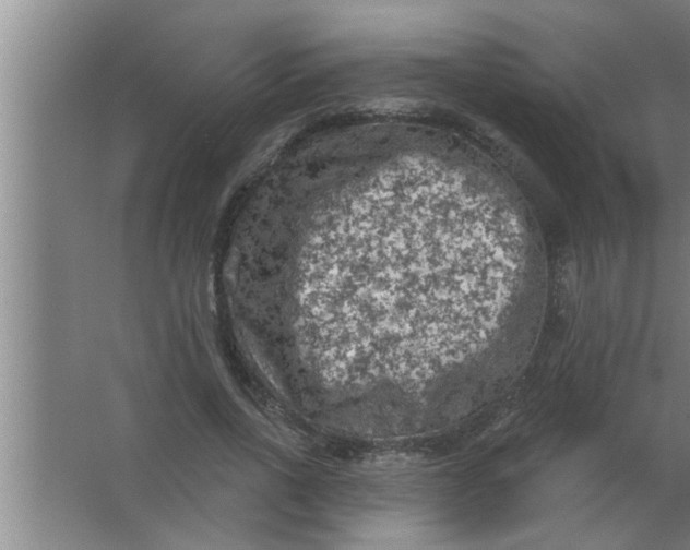 X0000063480734200602031925