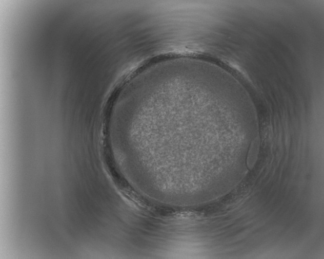 X0000063480736200602031925