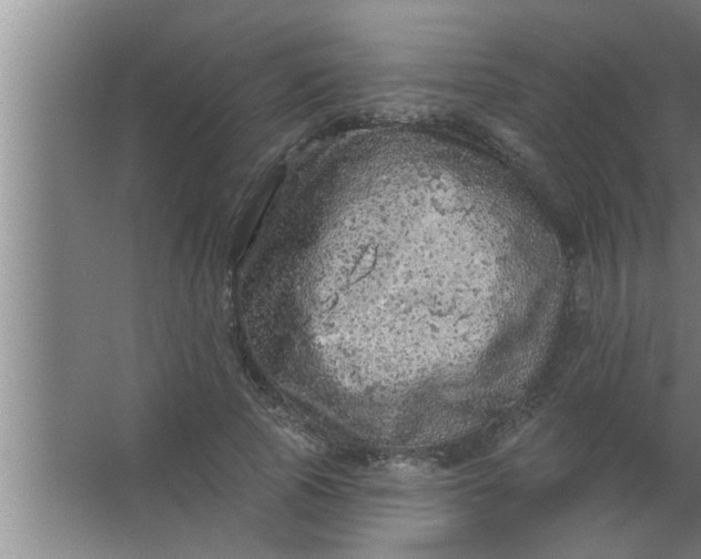 X0000063480737200602031925