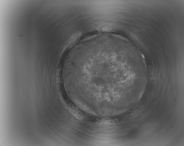 X0000063480738200602031925