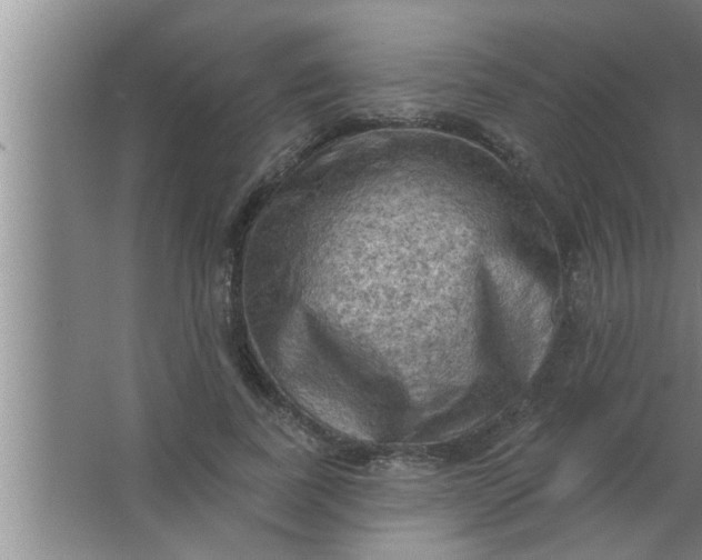 X0000063480739200602031925