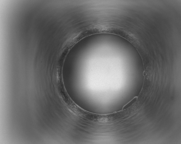 X0000063480740200602031925