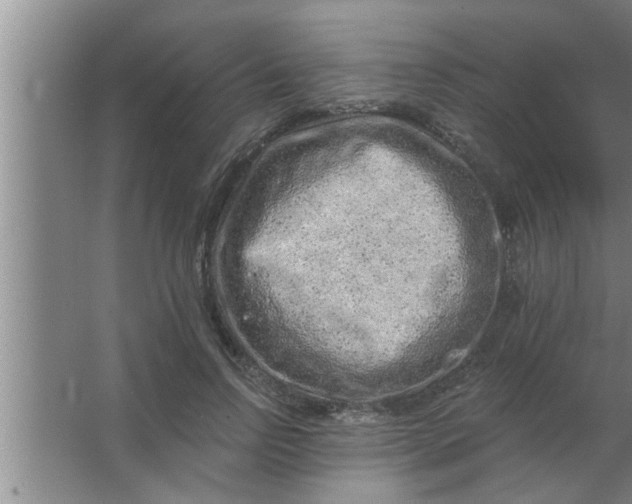 X0000063480742200602031925