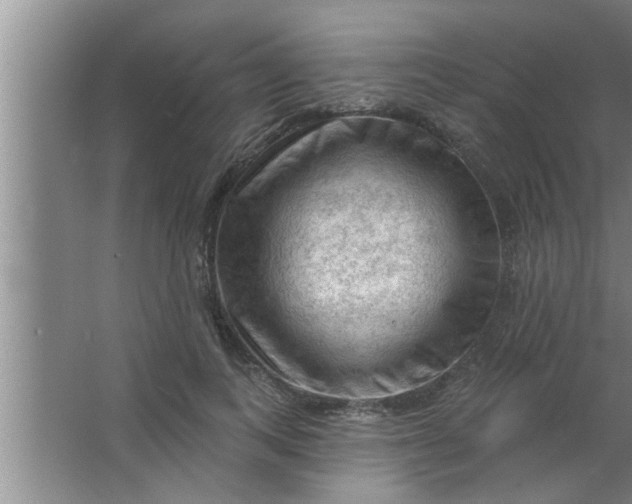 X0000063480743200602031925