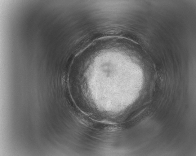 X0000063480745200602031925