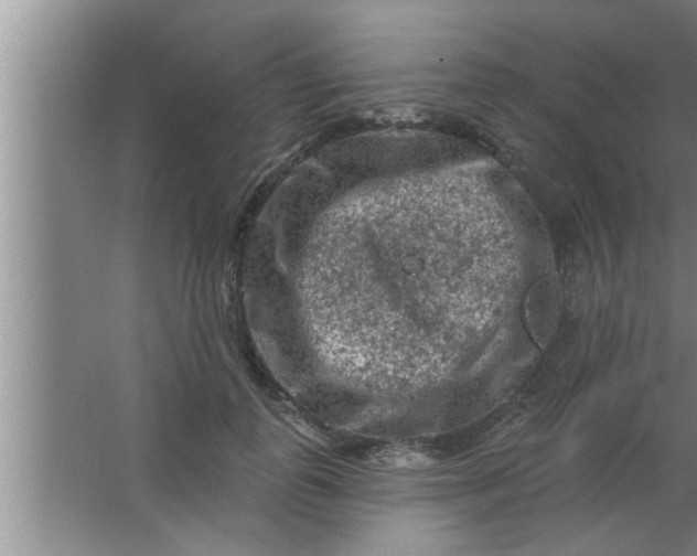 X0000063480747200602031925