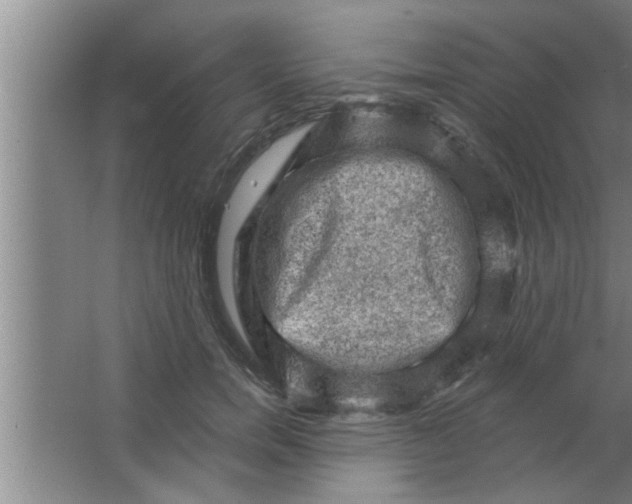 X0000063480750200602031925