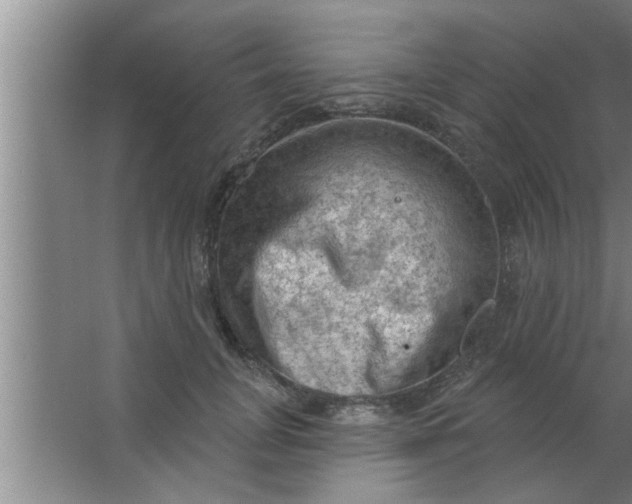 X0000063480751200602031925