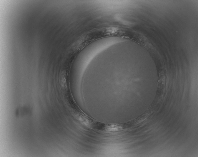 X0000063480754200602031925