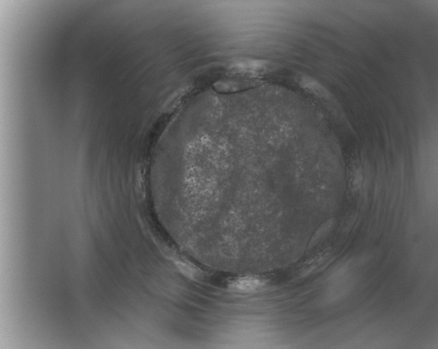 X0000063480759200602031925