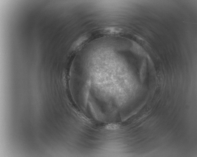 X0000063480762200602031925