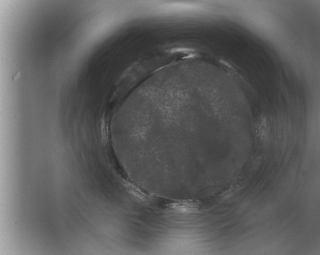 X0000063480763200602031925