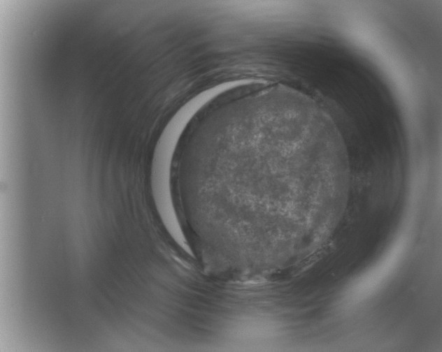 X0000063480766200602031925