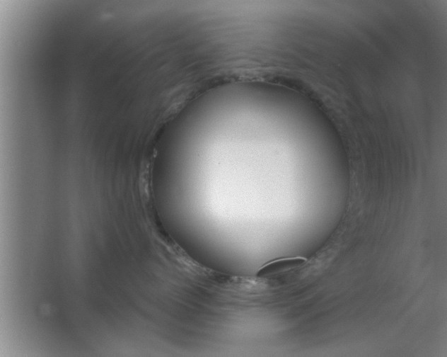 X0000063480768200602031925