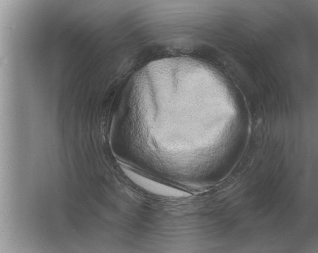 X0000063480772200602031925