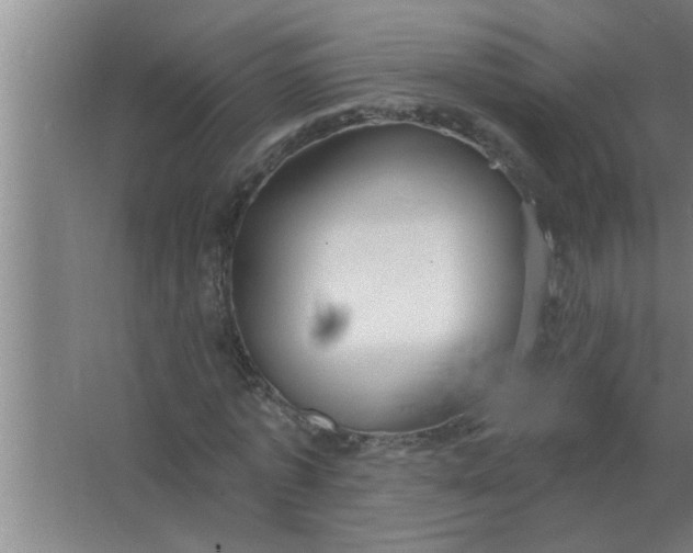 X0000063480773200602031925