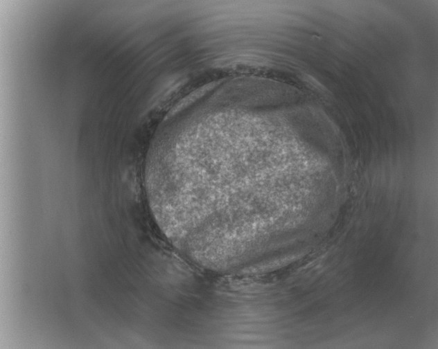 X0000063480774200602031925