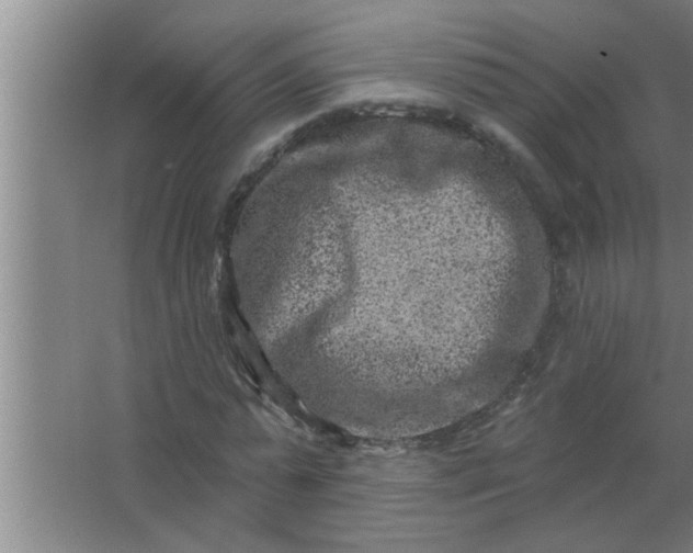 X0000063480775200602031925