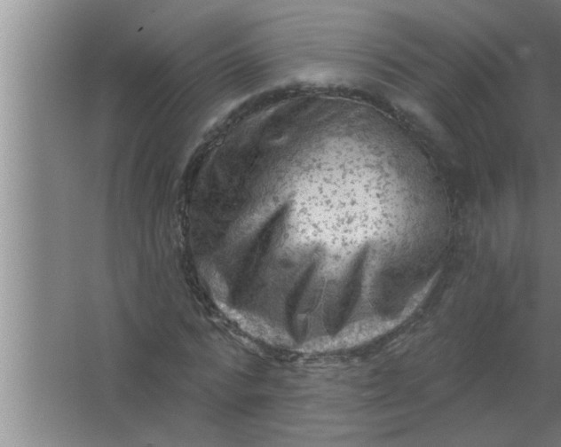 X0000063480776200602031925