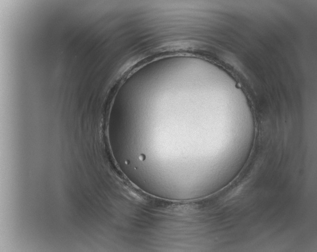 X0000063480778200602031924